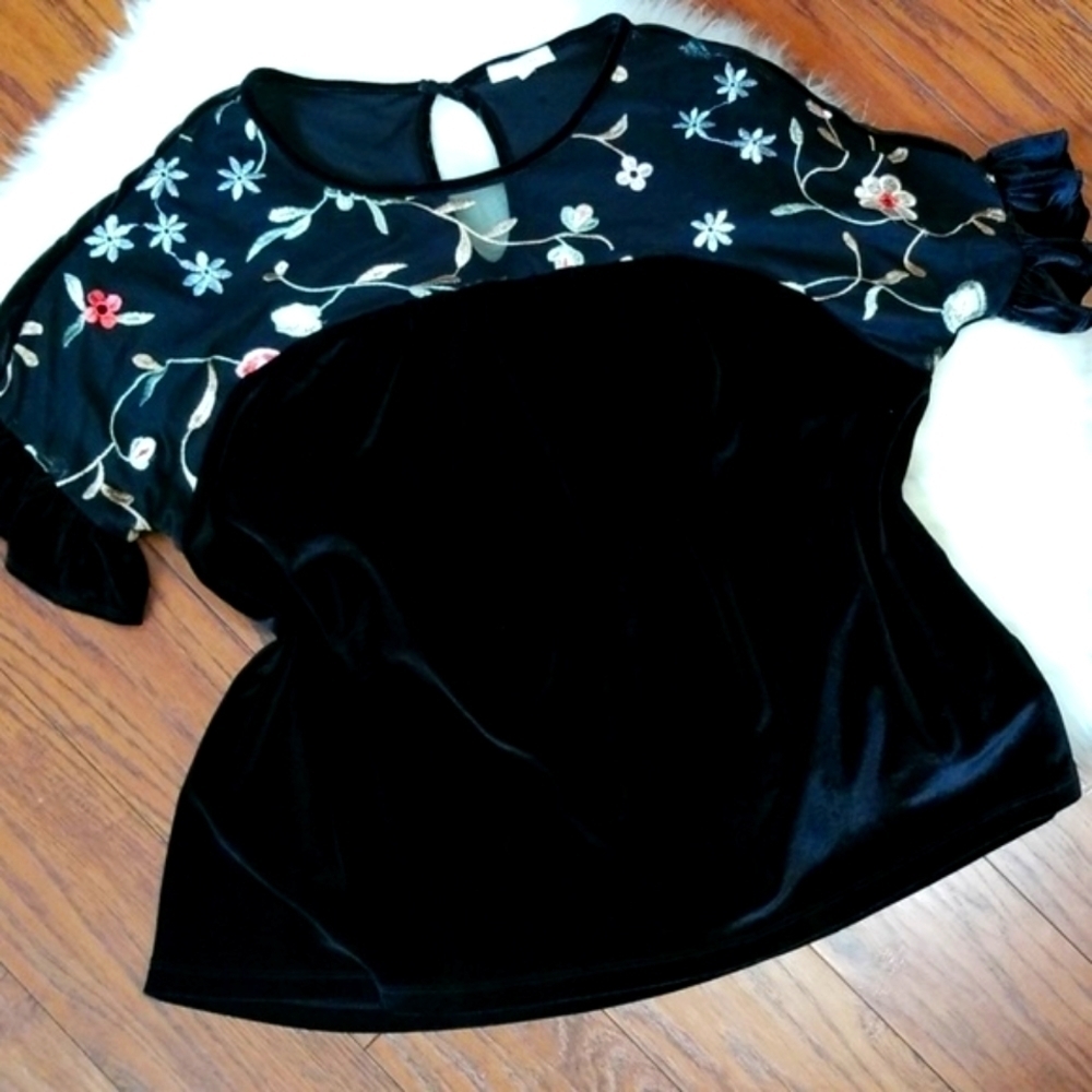 Anthropologie Pleione Black Velvet floral Mesh Blouse